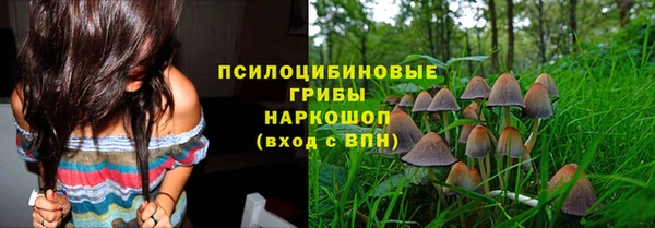 а пвп мука Алексин