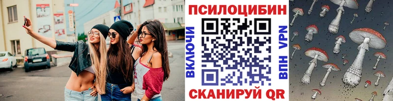 площадка состав  Новоалтайск  Галлюциногенные грибы GOLDEN TEACHER  цена наркотик 