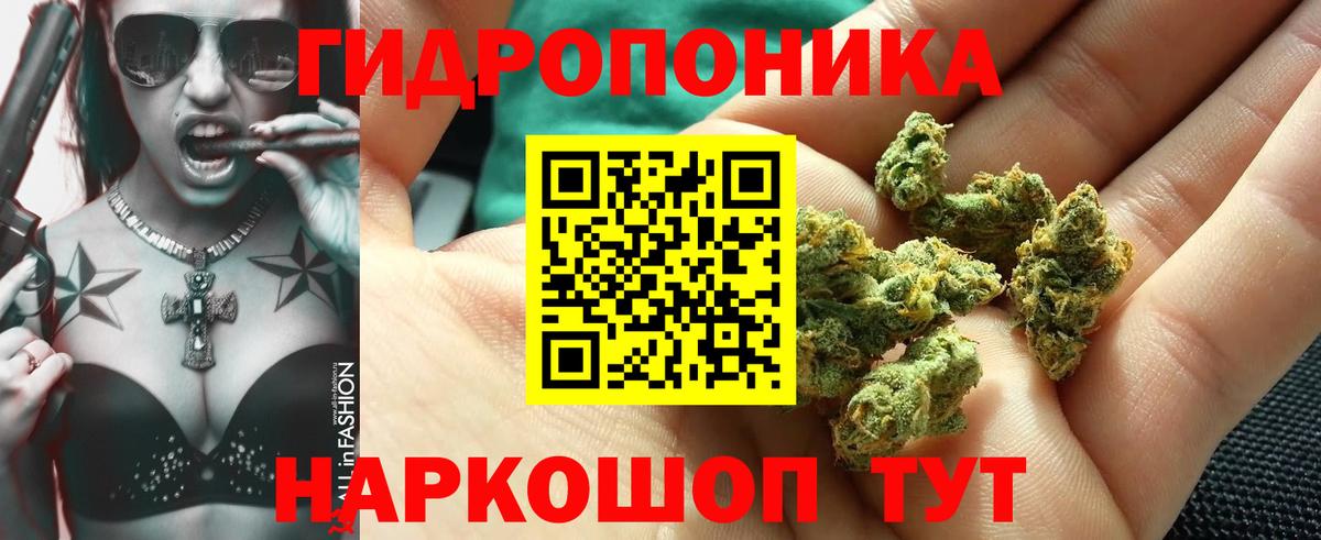 Канабис SATIVA & INDICA Новоалтайск